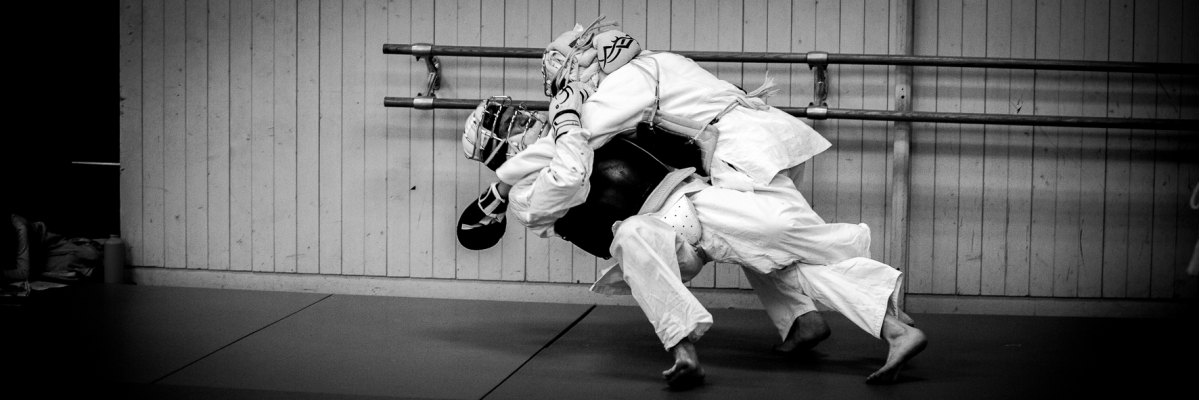 nippon kempo combat art martial