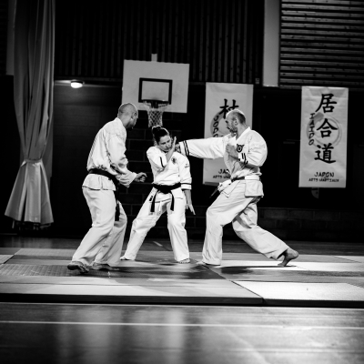 gala arts martiaux Gières 03112018