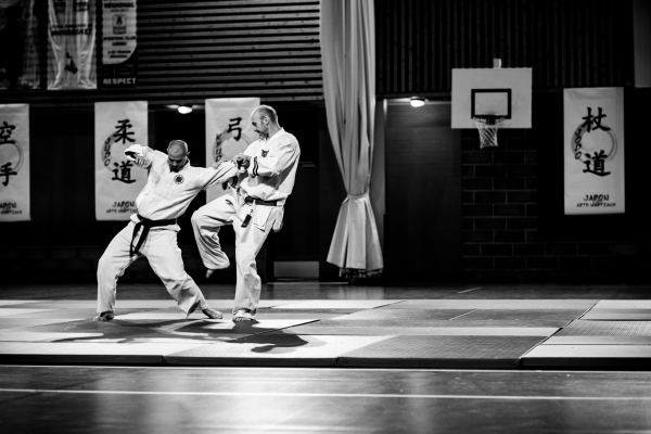 gala arts martiaux Gières 03112018