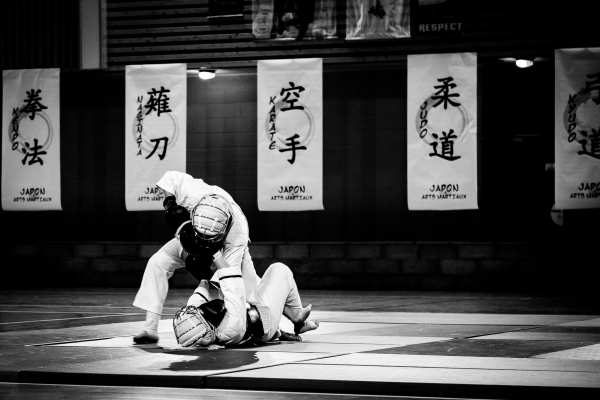 gala arts martiaux Gières 03112018