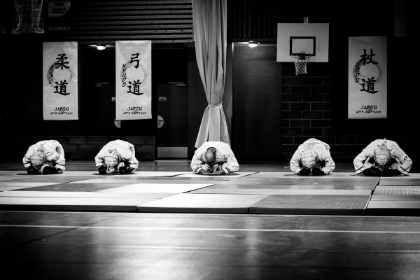 gala arts martiaux Gières 03112018