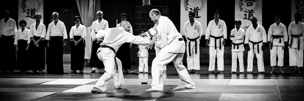 gala arts martiaux Gières 03112018